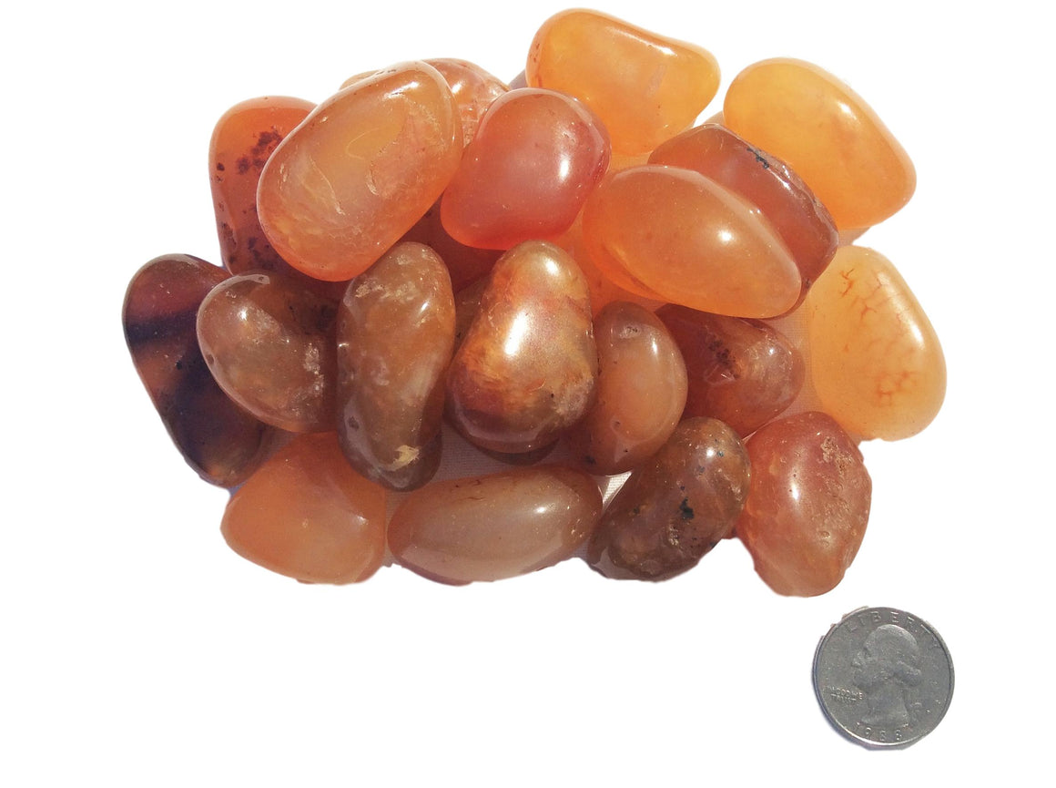 Chakra Healing Stones - CARNELIAN - Free Shipping - dinosaursrocksuperstore