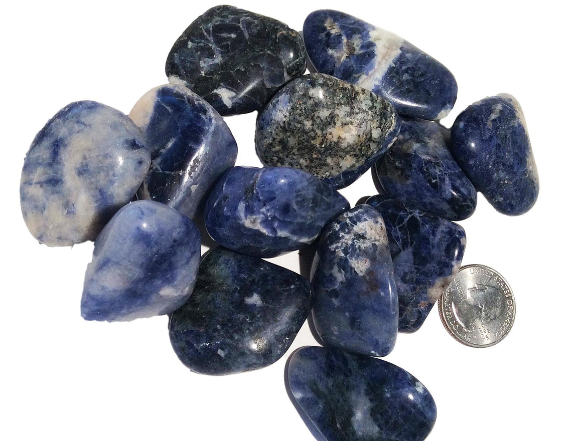 Chakra Healing Stones - SODALITE - Free Shipping - dinosaursrocksuperstore