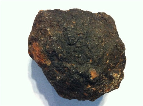 Coprolite - Real Fossil Dinosaur Poop - great gift! - dinosaursrocksuperstore