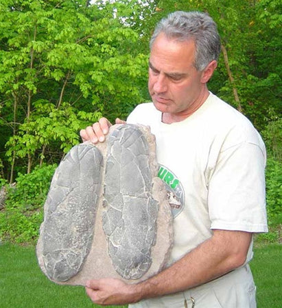Dinosaur Egg Nest Replica | DINOSAURS ROCK SUPERSTORE | Fossil