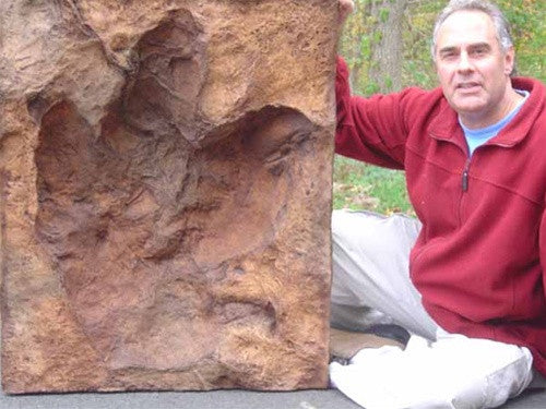 T-Rex Footprint Fossil Replica - over 3 feet - dinosaursrocksuperstore