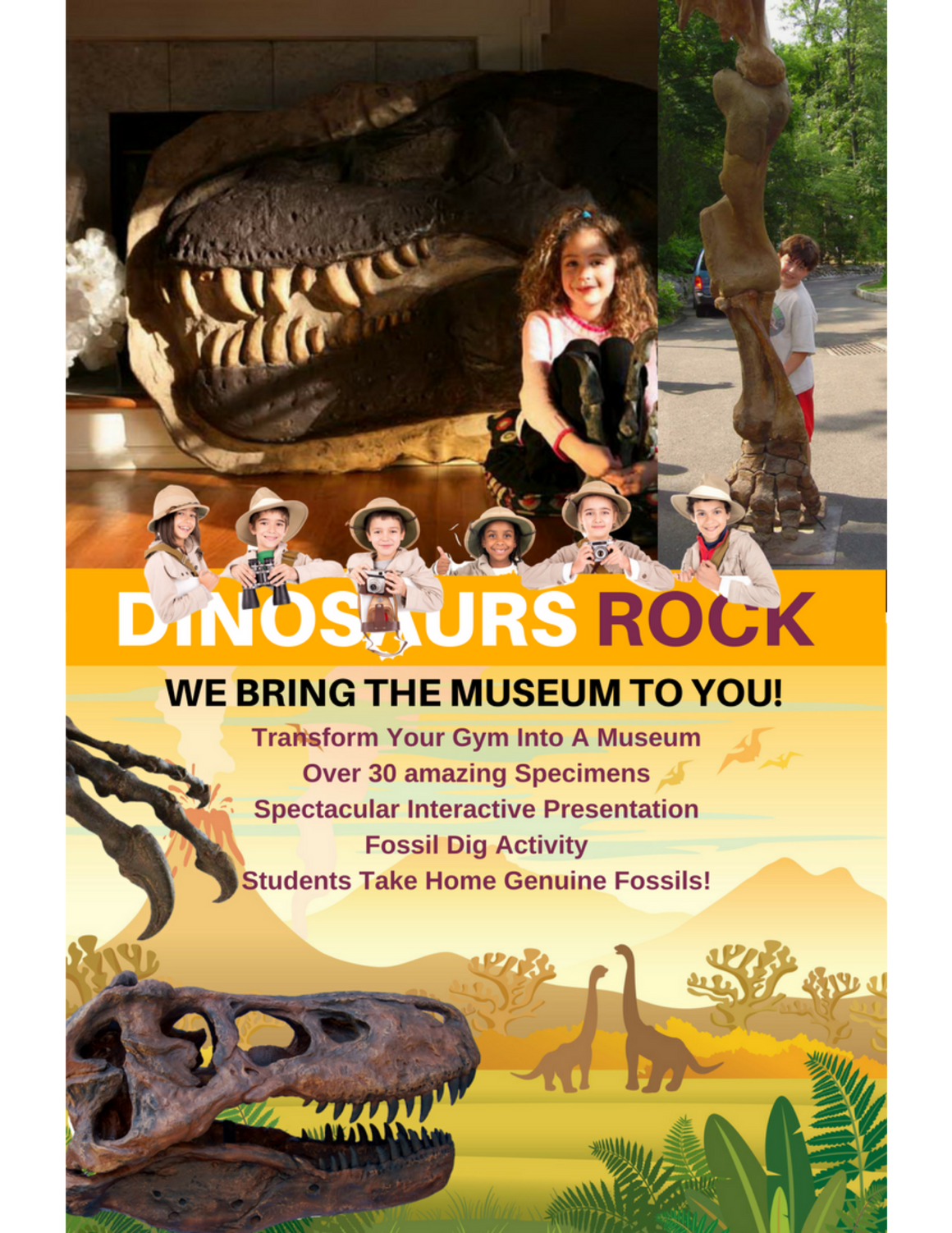 5-week Virtual Science Museum Class - 5 themes w/ Hands-On Activity Supplies - great for Learning Pods