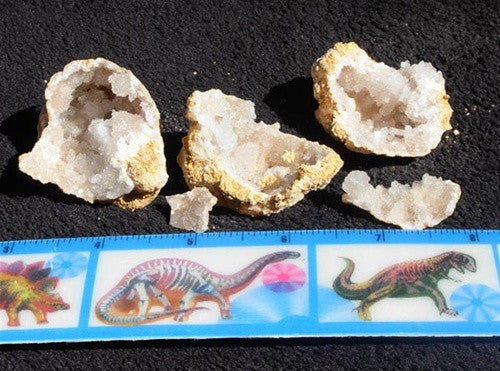 Five (5) Geodes  -  Break Your Own - 2"-4" wide! - dinosaursrocksuperstore