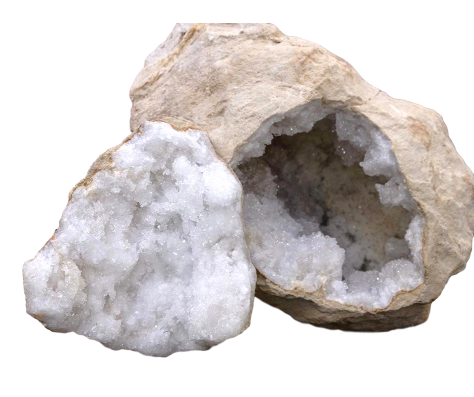 At Home Family Fun VIRTUAL Event  - Fossil & Mineral Activities & Zoom Class with Museum "Tour" - dinosaursrocksuperstore