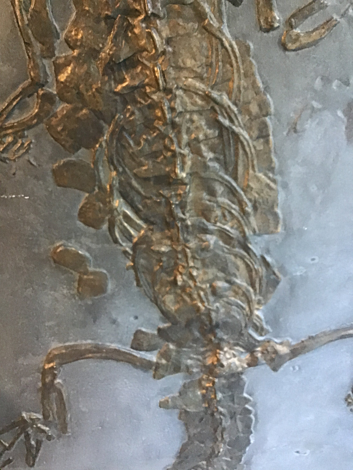 Crocodile Full Skeleton Fossil Replica - On Slab from the Jurassic - 7 ft x 29"