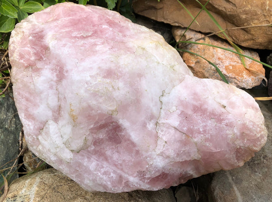 Rose Quartz Display Specimen - 14.5" x 10" x 6"