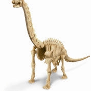 Kidz Lab Brachiosaurus Excavation Dig Kit - dinosaursrocksuperstore