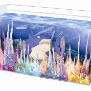 Crystal Growing - Magic Rocks Kit - dinosaursrocksuperstore