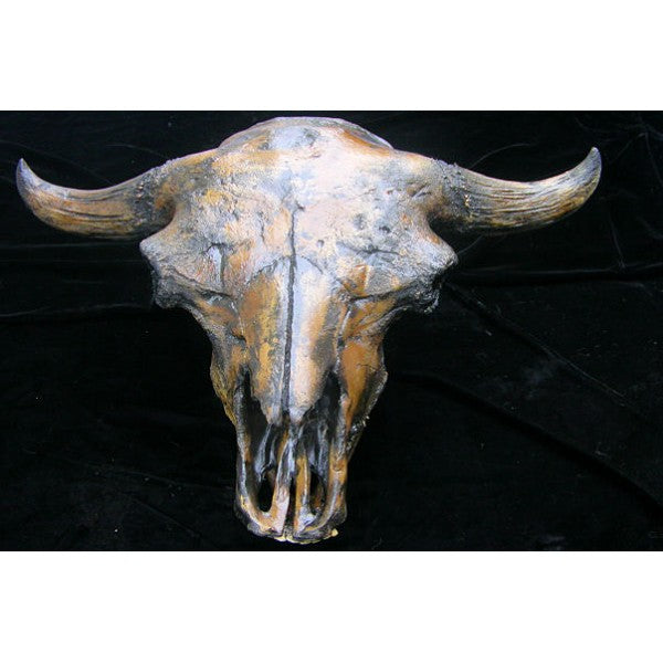 Bison Antiquus Skull with Mandible - dinosaursrocksuperstore