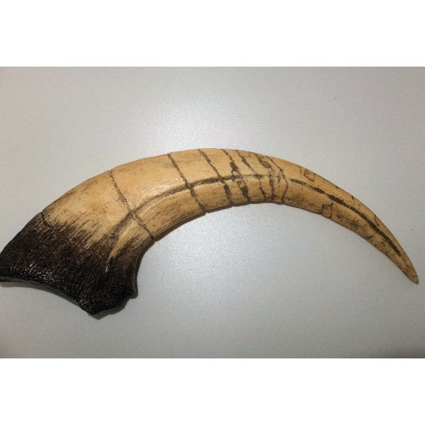 Megaraptor Claw Replica - 14" - dinosaursrocksuperstore