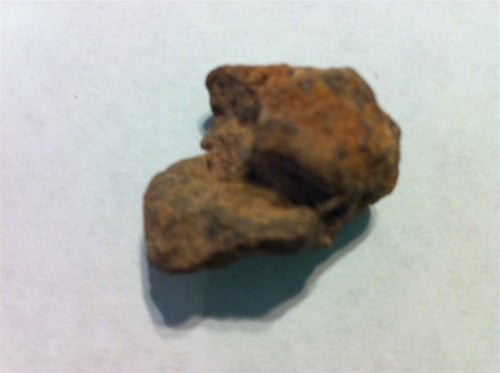 Genuine NWA Meteorite - dinosaursrocksuperstore