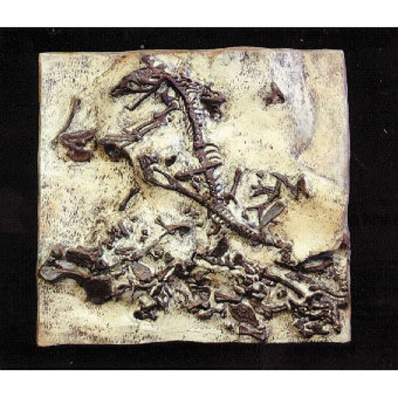 Aeurosaurus Therapsida In-Situ Cast Replica - dinosaursrocksuperstore