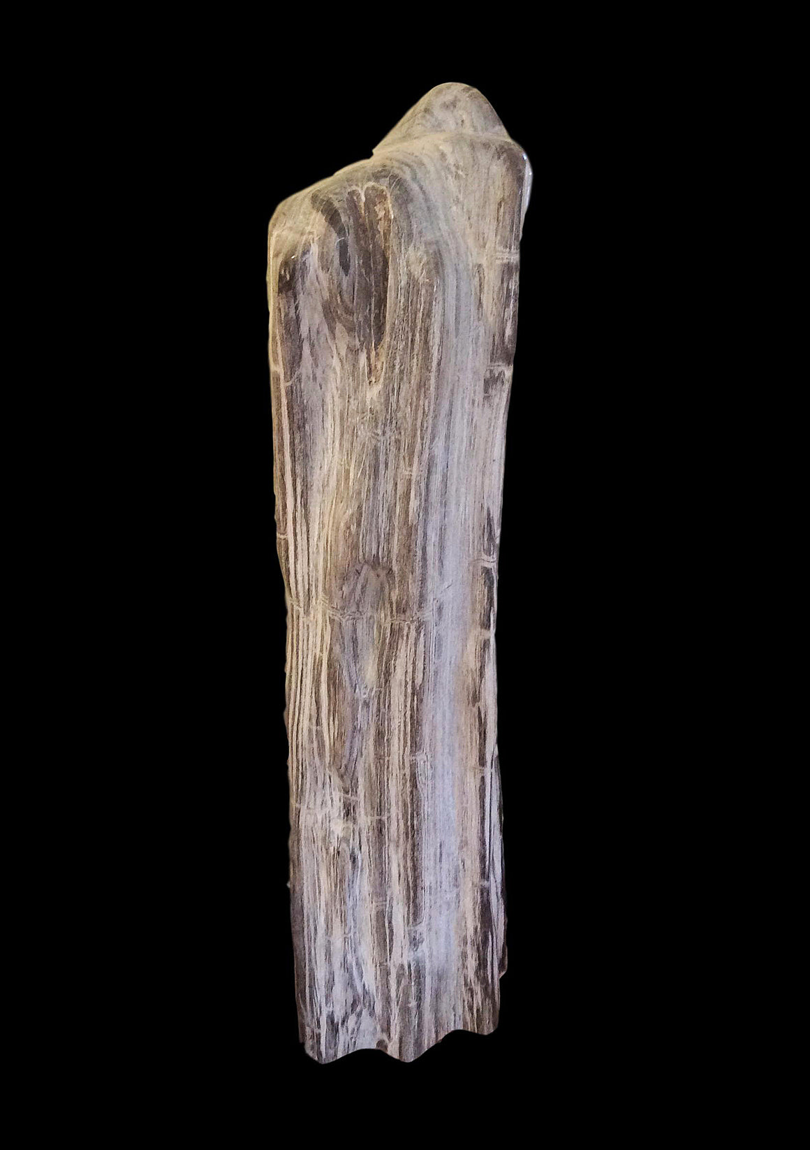 Museum Specimen Petrified Wood - 42" Tall - Madagascar - dinosaursrocksuperstore