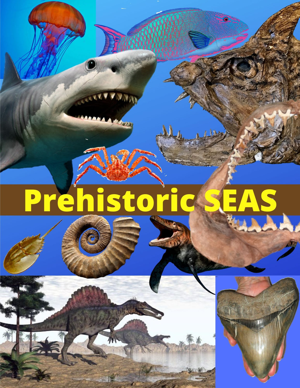 5-week Virtual Science Museum Class - 5 themes w/ Hands-On Activity Supplies - great for Learning Pods