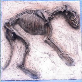 Dire Wolf Skeleton Replica Plaque - dinosaursrocksuperstore