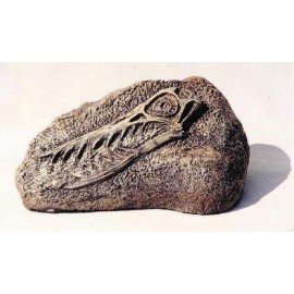 Rhamphorhynchus Skull Plaque (model) - dinosaursrocksuperstore