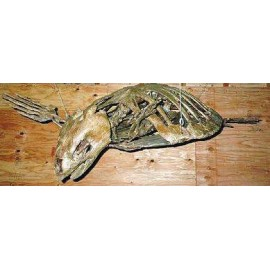 Protostega Gigas Skeleton Replica Mounted/crated - dinosaursrocksuperstore