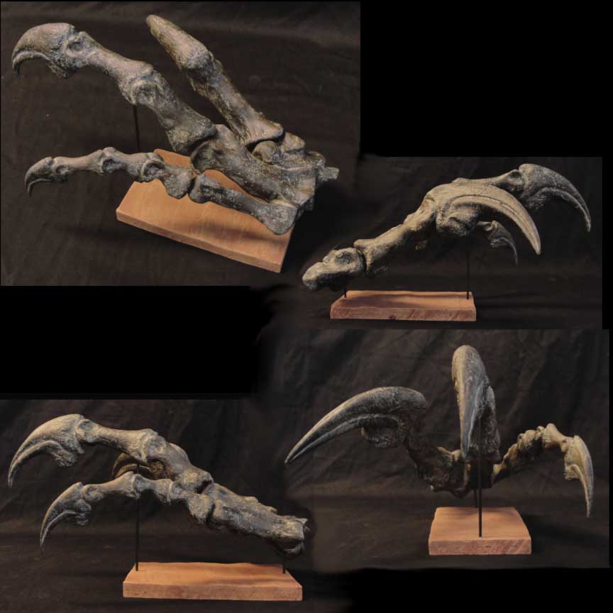 Allosaurus Dinosaur Hand Replica - dinosaursrocksuperstore
