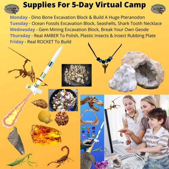 5-Day Virtual Camp Supplies with Complete Instructions