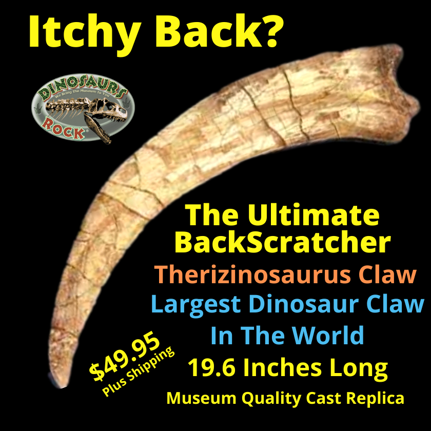 Dinosaur Claw Replica - Therizinosaur - 23"