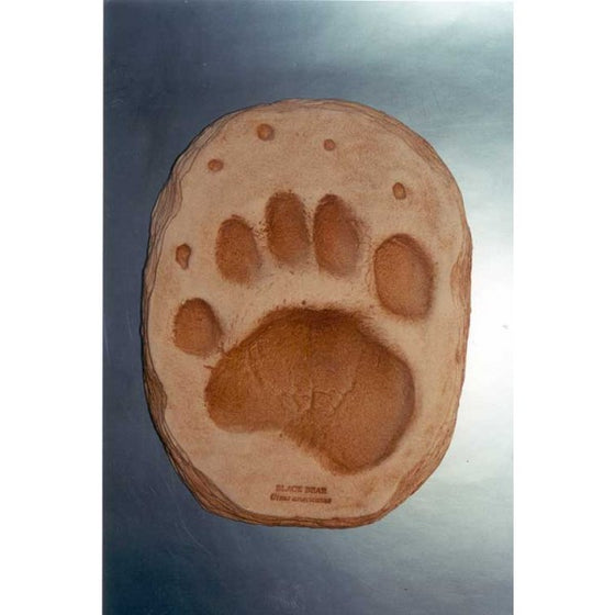 American Black Bear Footprint Replica - dinosaursrocksuperstore
