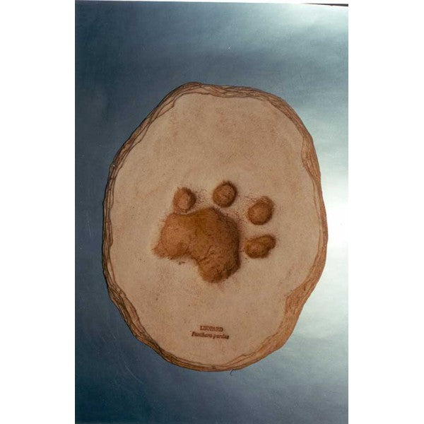 African Leopard Footprint (22x18cm) Cast Replica - dinosaursrocksuperstore