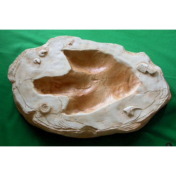 Allosaurus Footprint Replica - dinosaursrocksuperstore