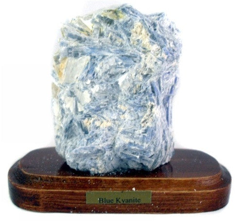 Mineral Specimen  - Kyanite on Wooden Base - Gift boxed! - dinosaursrocksuperstore