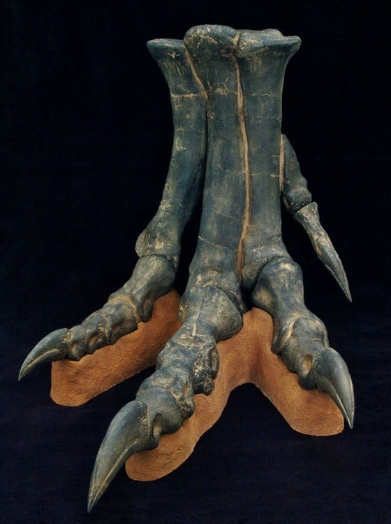 Allosaurus Foot Replica - dinosaursrocksuperstore