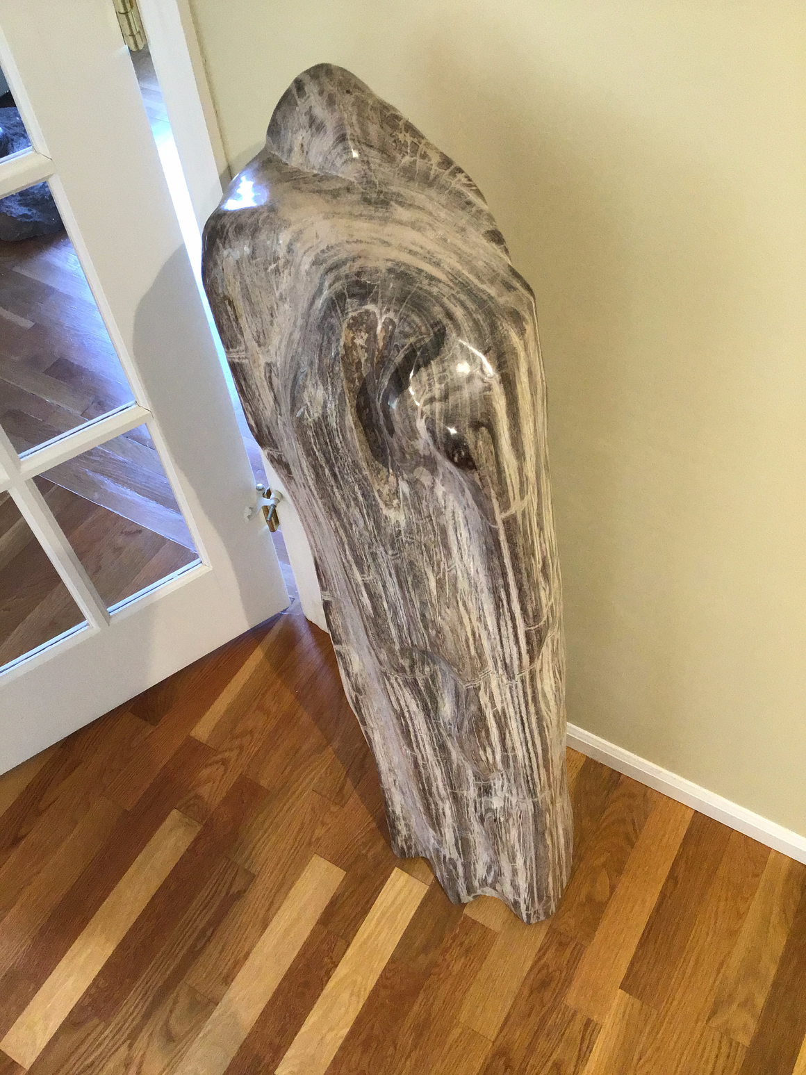 MOVING SALE!  Huge 42 Inch Long Fossil PETRIFIED WOOD