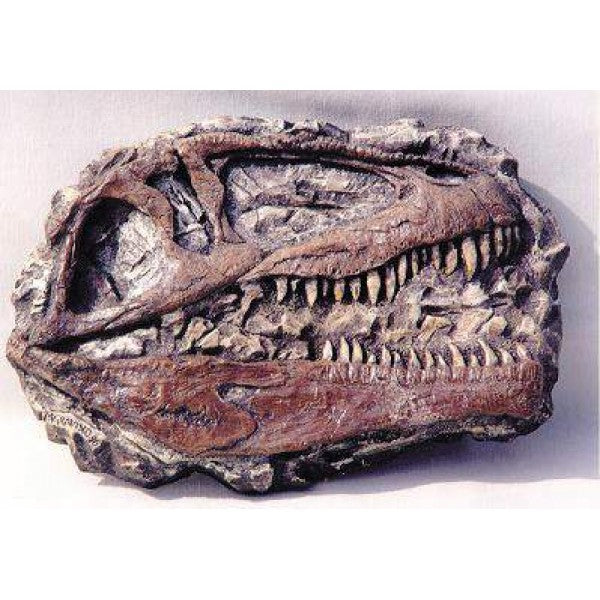 Gigantotosaurus Mini Skull Profile Replica (PLAQUE) - dinosaursrocksuperstore