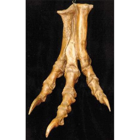 T-Rex Dinosaur Foot Replica - 46" - dinosaursrocksuperstore