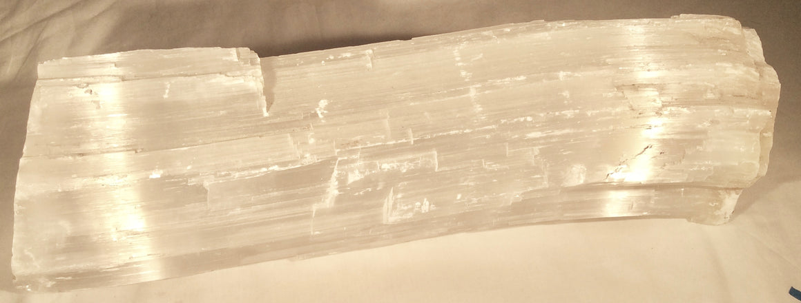 Selenite Crystal Mineral Display Specimen - 17" long - dinosaursrocksuperstore