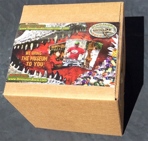 Chakra Fairy Pendant - gift packaged - dinosaursrocksuperstore