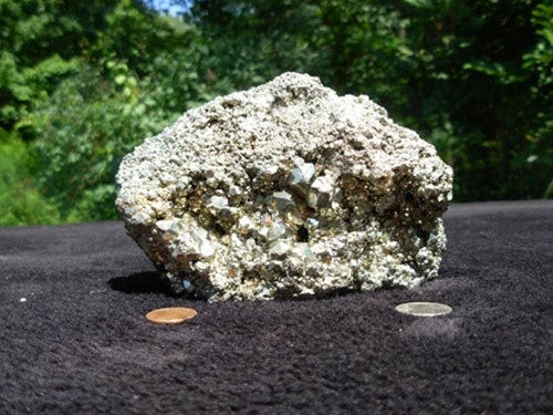 Pyrite Specimen - dinosaursrocksuperstore