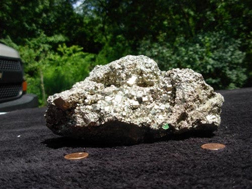 Pyrite Specimen - dinosaursrocksuperstore