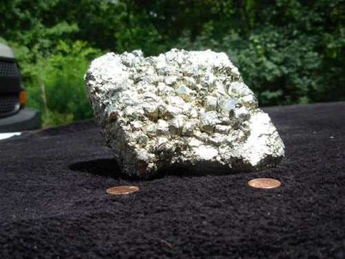 Pyrite Specimen - dinosaursrocksuperstore