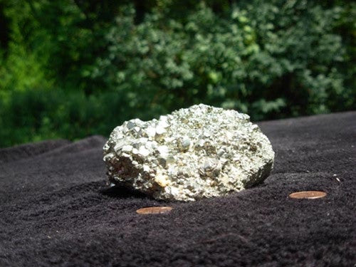 Pyrite Specimen - dinosaursrocksuperstore