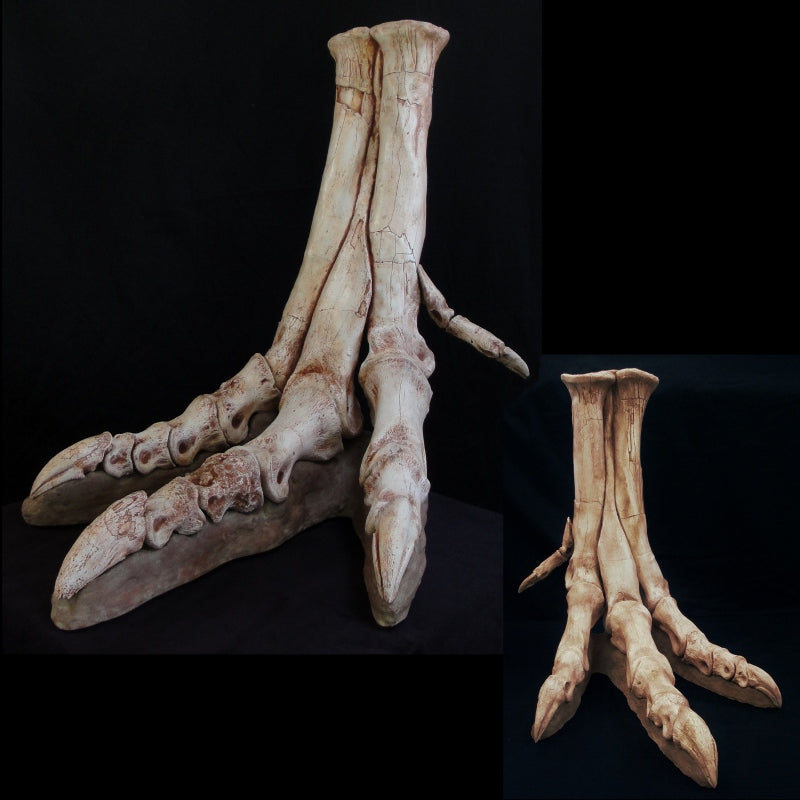 Tarbosaurus Foot Replica - dinosaursrocksuperstore